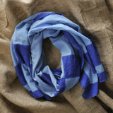 CHESS (BLUE)
